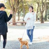 写真描写018.　犬の散歩　Dog-walking